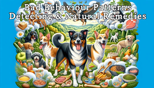 Bad Behaviour Patterns: Detecting and Natural Remedies