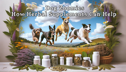 Zoomies: Herbal Remedies