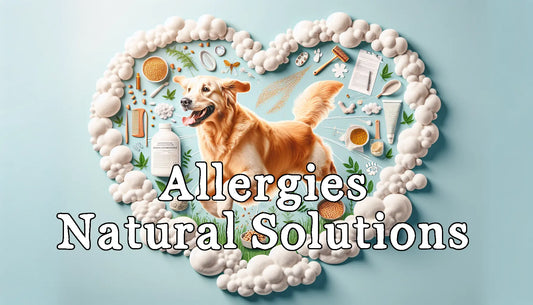 Allergies: Natural Solutions to Alleviate Scratching