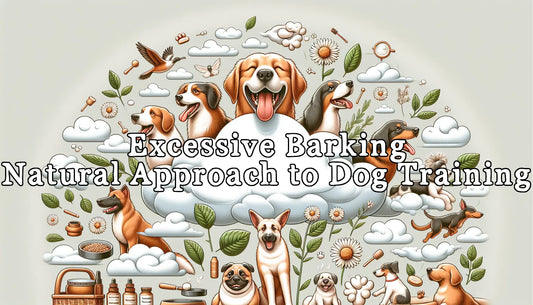 Excessive Barking: Natural Approach to Dog Training