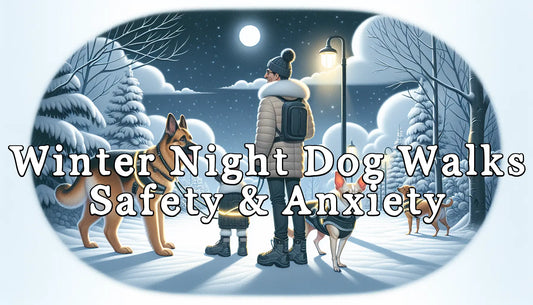 Winter Night Dog Walks: Ensuring Safety and Managing Anxiety