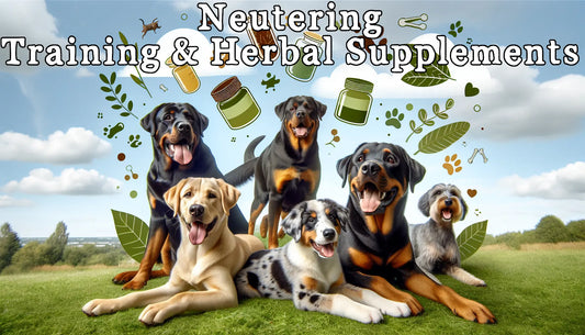 Neutering: Training and Herbal Supplements