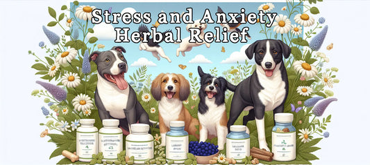 Stress: Managing and Alleviating Dog Stress with Herbal Supplements