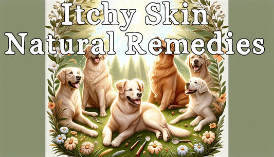 Itchy Skin: Using Natural Solutions