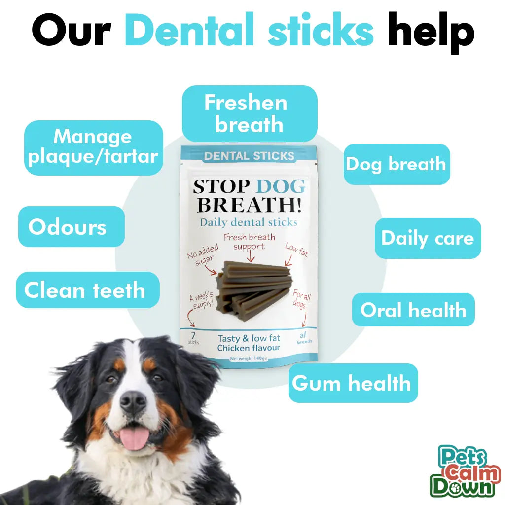 Daily Use Herbal Dental Sticks for Clean Teeth, Gums & Breath