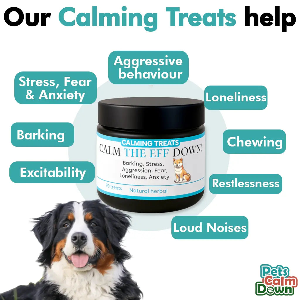 Dog with a jar of 'Calm the Eff Down' treats and text listing calming benefits on a white background.