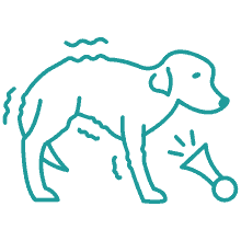 Remedy for Calm your dog down