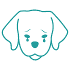 Remedy for Calm your dog down