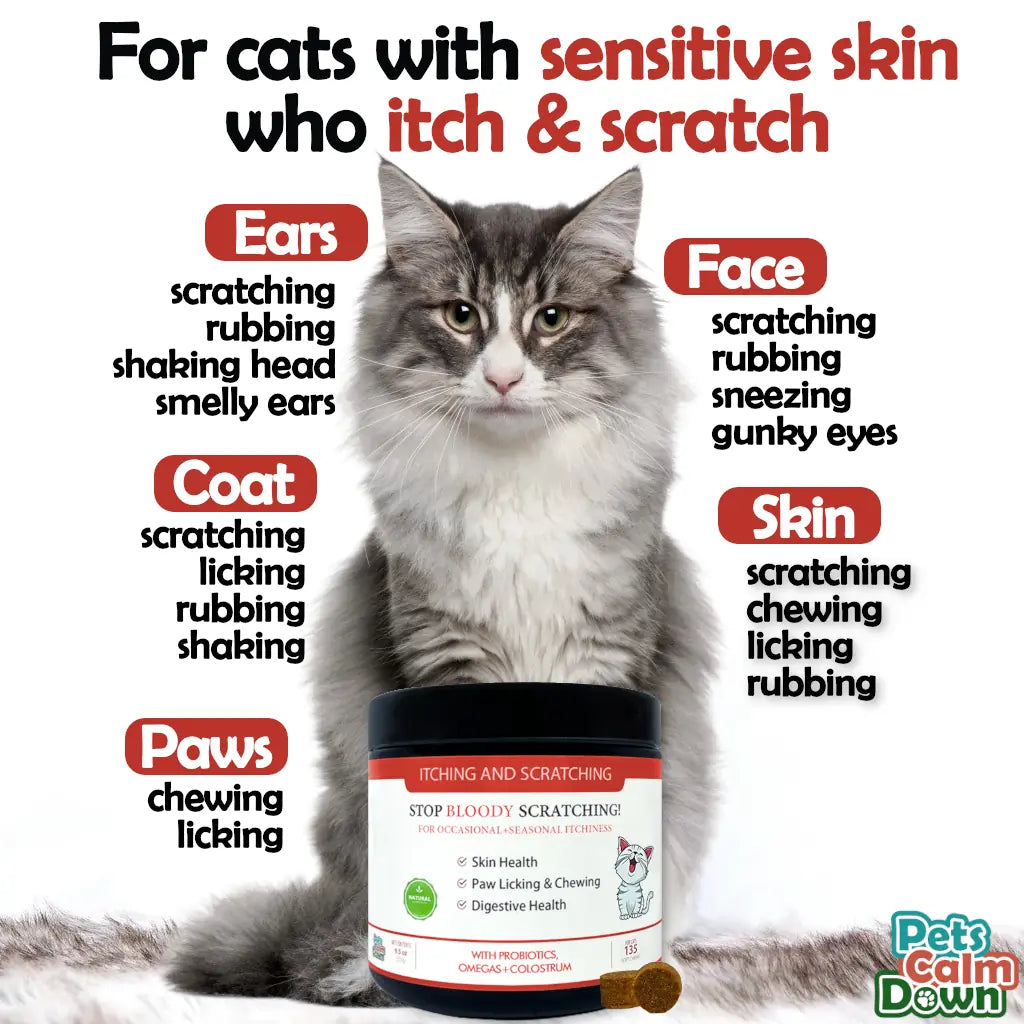 helps with cat