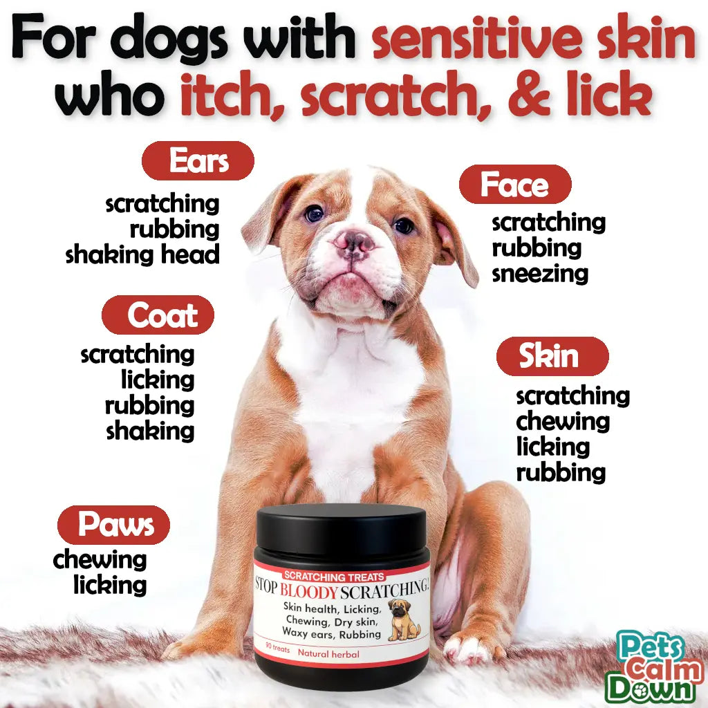 Dog with sensitive skin issues and a product for them on a white background