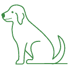 Remedy for Pamper your dog