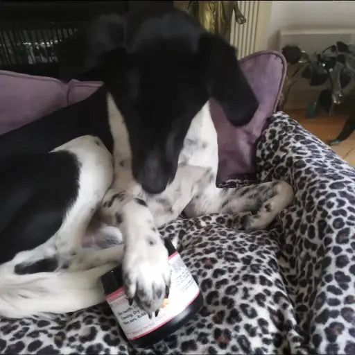 Happy customers. Product that works. Highly rated.