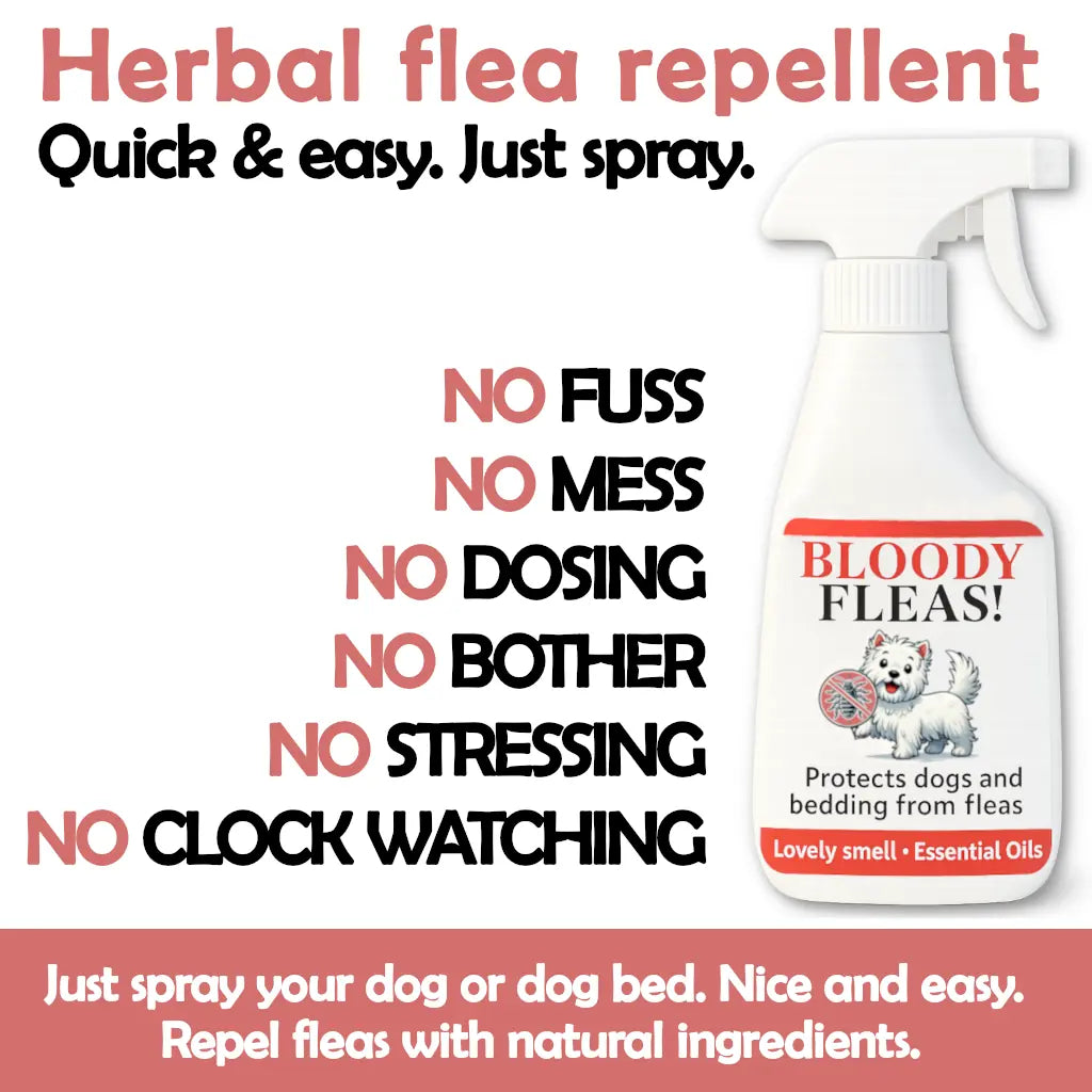 Flea repellent for dogs and bedding (natural herbal)