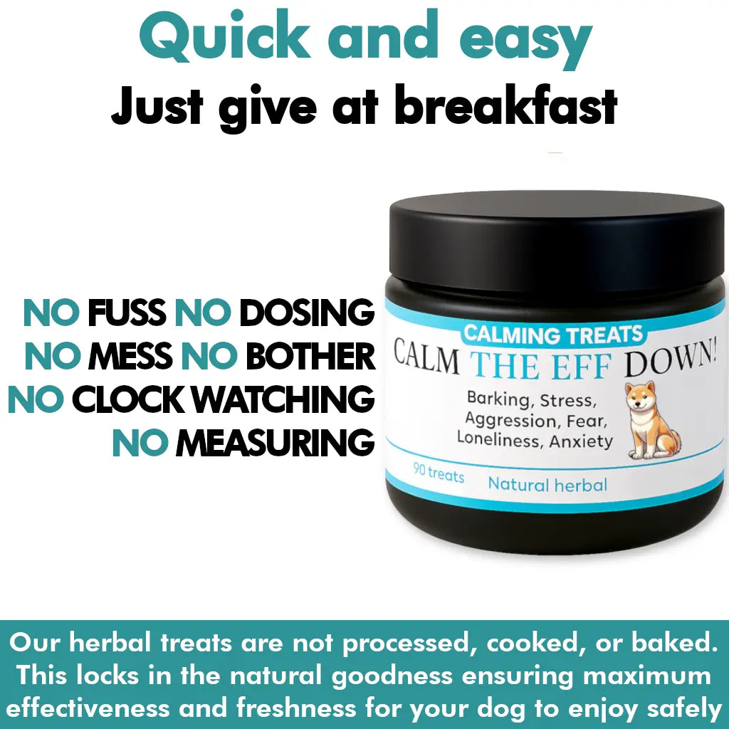 Jar of 'Calm The Eff Down' dog calming treats with text highlighting ease of use.