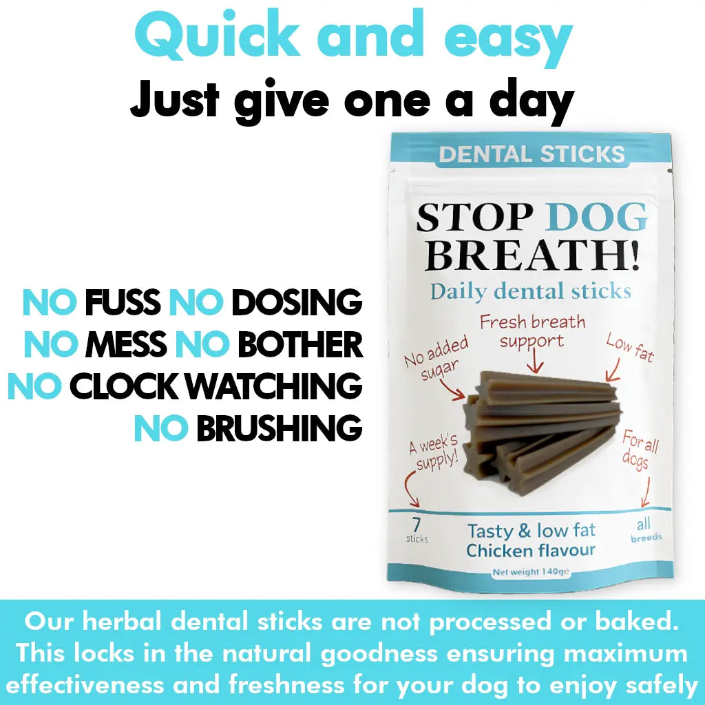 Daily Use Herbal Dental Sticks for Clean Teeth, Gums & Breath