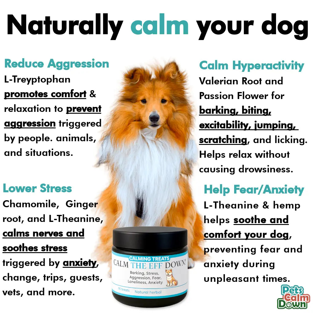 Dog calm product with text on benefits and ingredients
