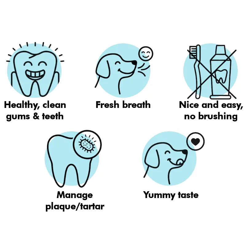 Daily Use Herbal Dental Sticks for Clean Teeth, Gums & Breath