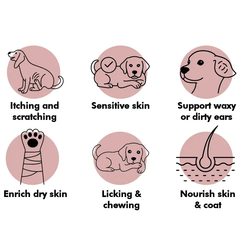 Illustrations of dogs and paw prints with text describing skin care issues and solutions on a white background.