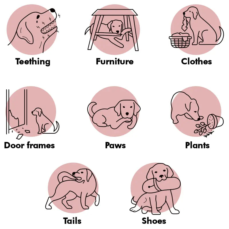 Stop Licking, Chewing, & Teething spray. Stop chewing furniture, shoes, bandages (natural herbal)