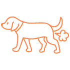 Remedy for Support your dog's digestion
