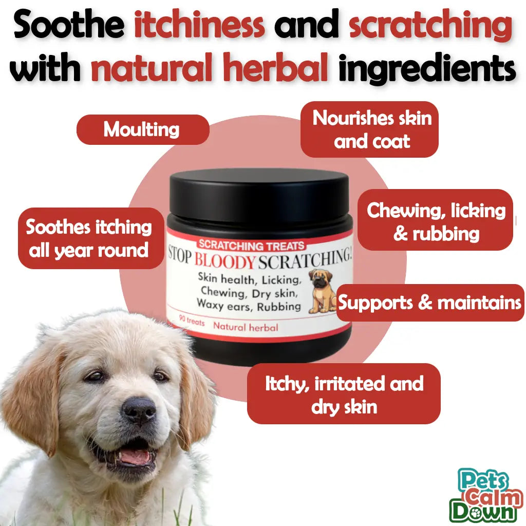 Dog with a jar of 'Scratching Treats' for itchy skin, surrounded by text about natural herbal ingredients.