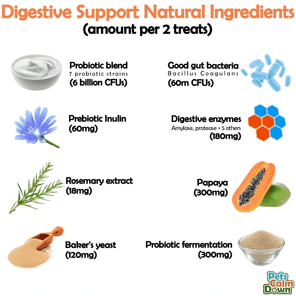 List of digestive support natural ingredients with corresponding amounts per 2 treats on a white background.