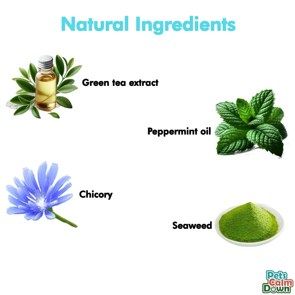Daily Use Herbal Dental Sticks for Clean Teeth, Gums & Breath