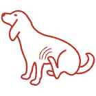 Remedy for Soothe your dog's itching and scratching
