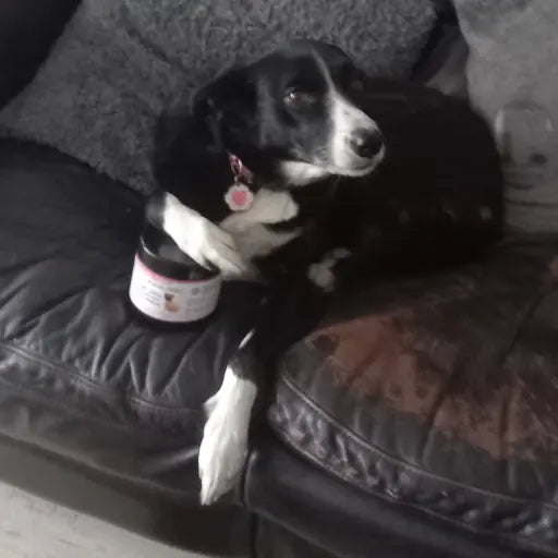 Happy customers. Product that works. Highly rated.