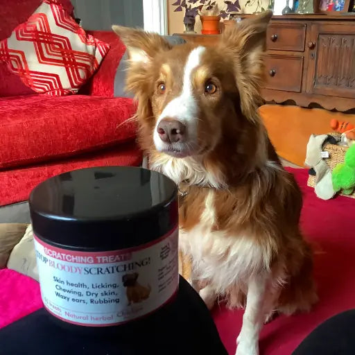 Happy customers. Product that works. Highly rated.