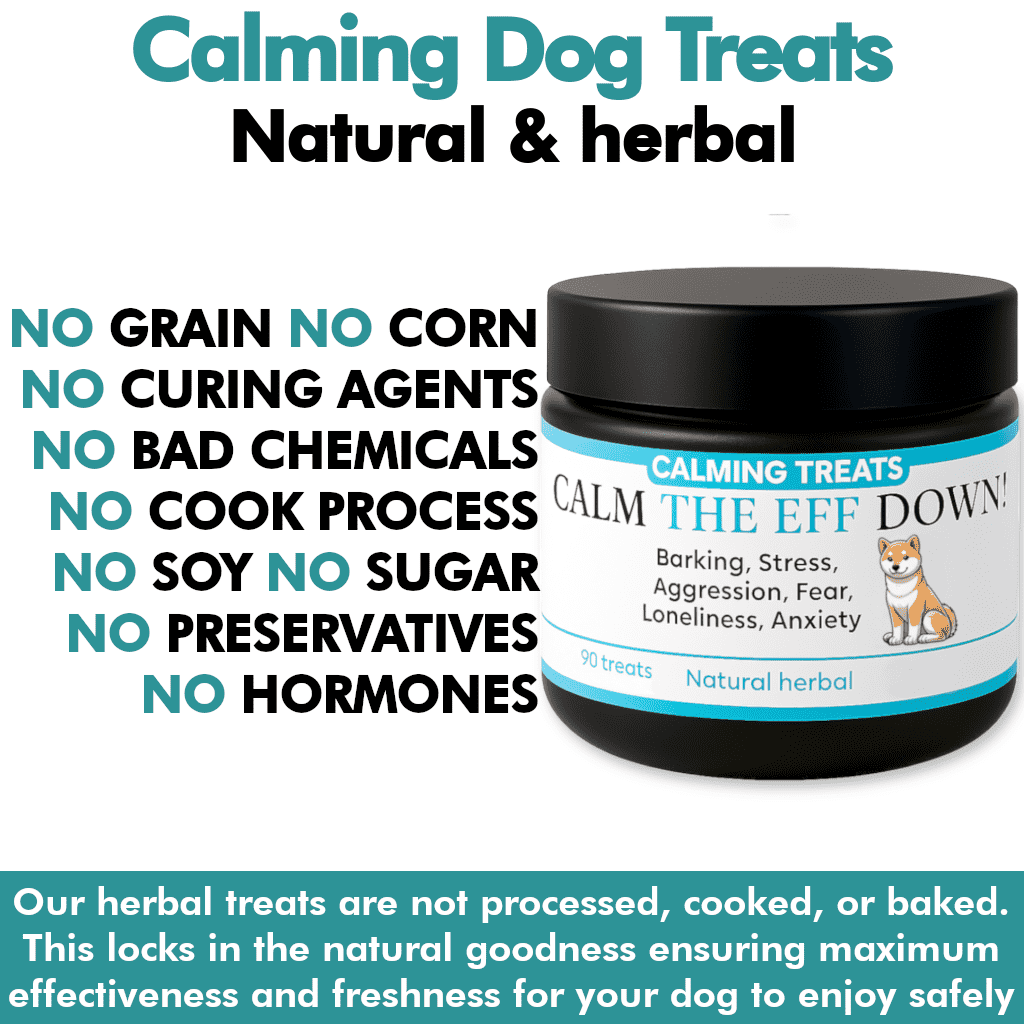Jar of calming dog treats with text highlighting natural and herbal ingredients