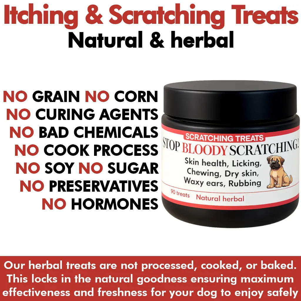 Jar of 'Stop Bloody Scratching' natural and herbal treatment for dogs with text highlighting benefits.