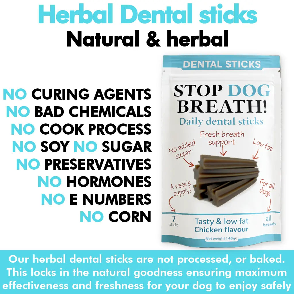 Daily Use Herbal Dental Sticks for Clean Teeth, Gums & Breath