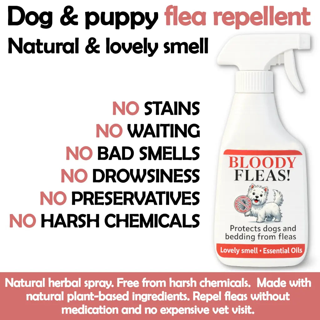 Flea repellent for dogs and bedding (natural herbal)