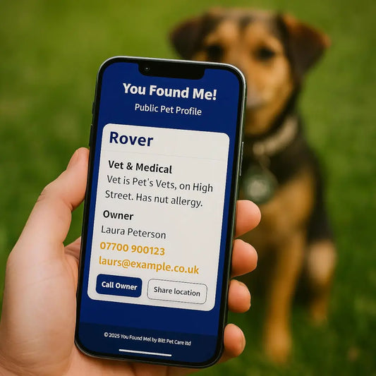 Lost Dog Finder Tag, because 1 in 3 lost pets never make it home