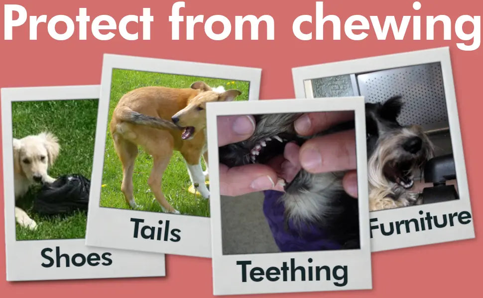 Stop Licking, Chewing, & Teething spray. Stop chewing furniture, shoes, bandages (natural herbal)