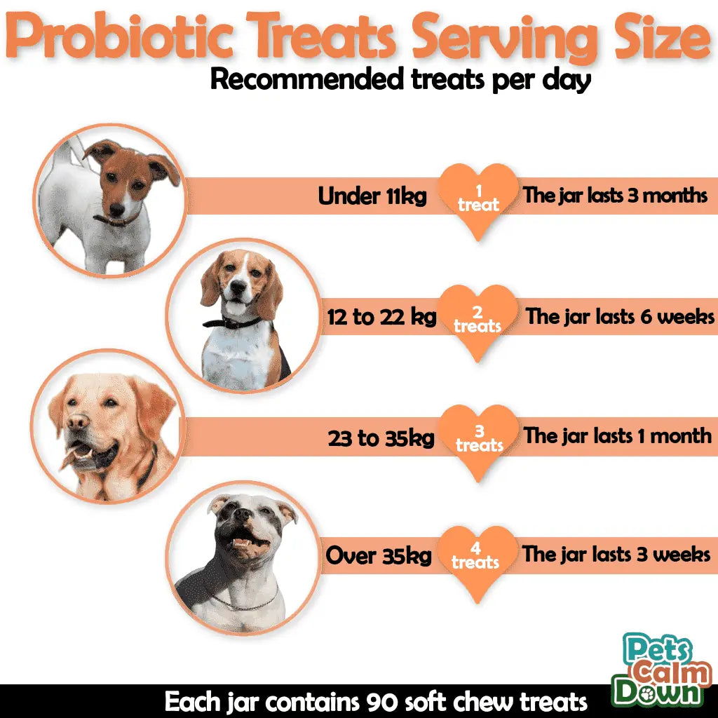 Diagram showing recommended probiotic treat serving sizes for dogs of different weights, with images of dogs and text indicating treat quantities.