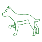 Remedy for Support your dog's mobility