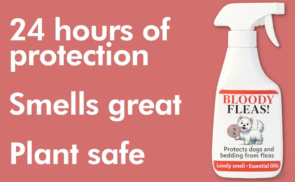 Flea repellent for dogs and bedding (natural herbal)