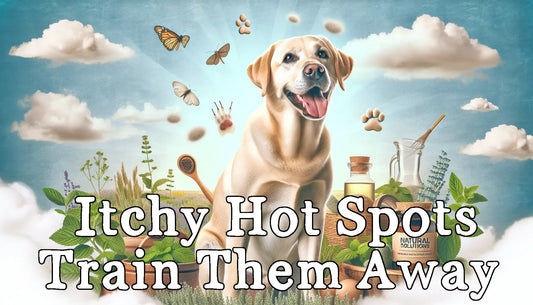  Itchy Hot Spots: Train Them Away