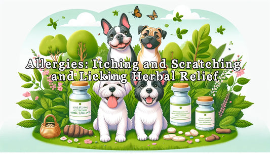 Itching and Scratching: Soothe with Herbal Supplements