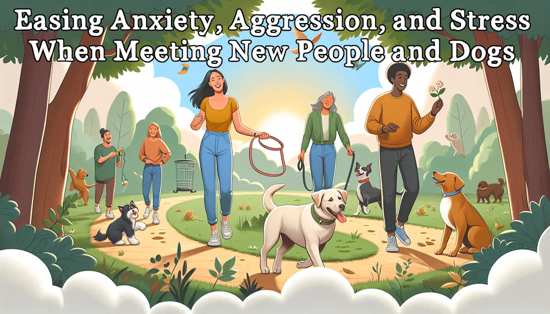 Meeting New People/Dogs: Easing Anxiety, Aggression, and Stress with Herbal Remedies