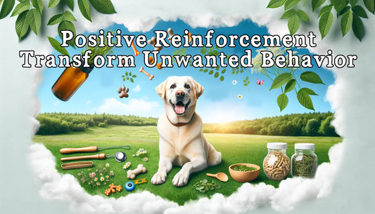Positive Reinforcement: Transform Unwanted Behavior