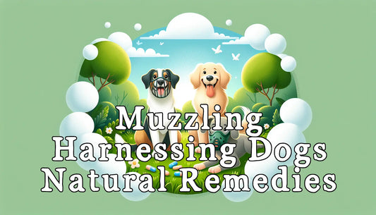 Muzzling: Harnessing Dogs and  Natural Remedies