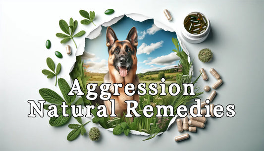 Aggression: Natural Remedies