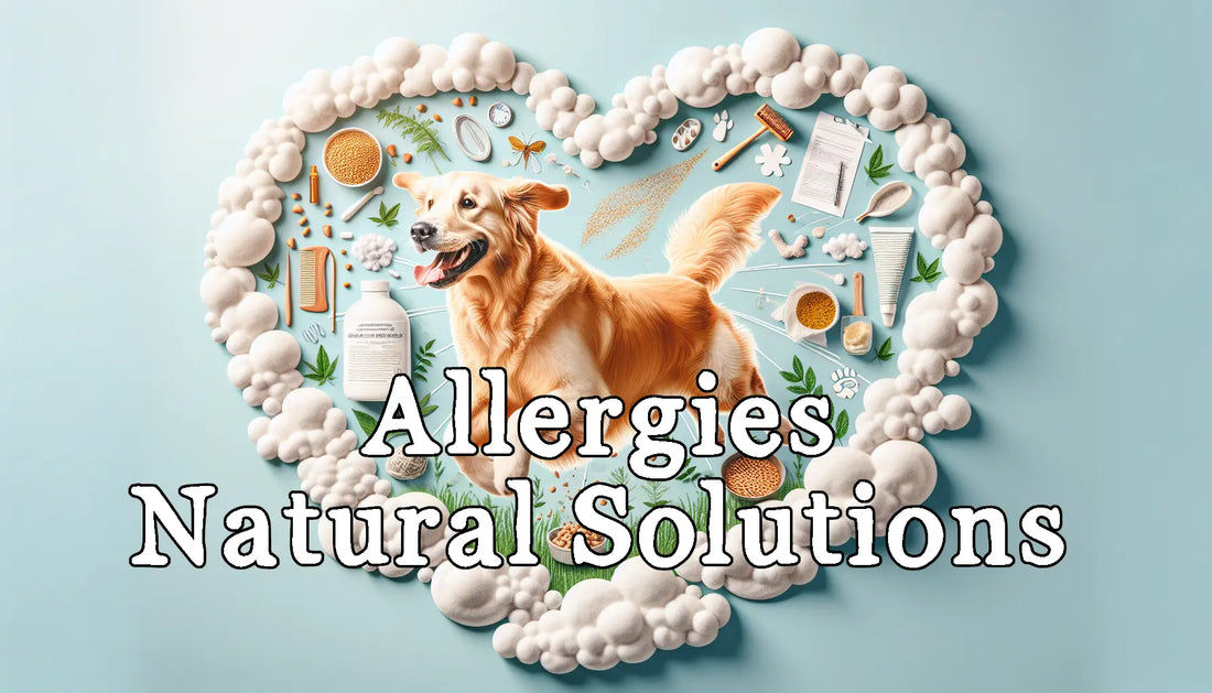 Allergies: Natural Solutions to Alleviate Scratching