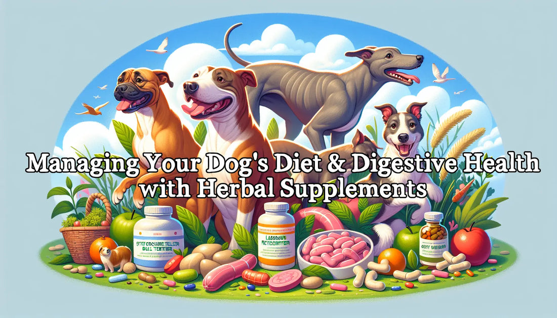 Dog Diet: Promoting Digestive Health with Herbal Supplements