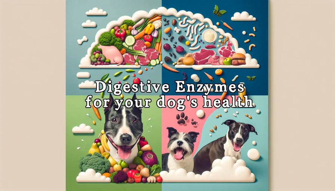 Digestive Enzymes for Your Dog's Optimal Health