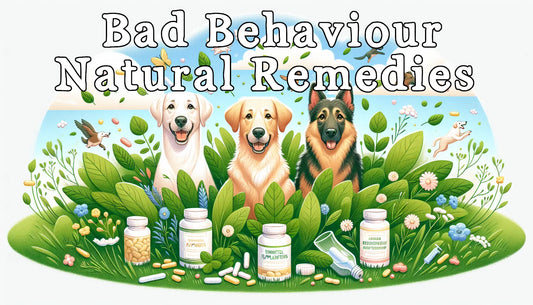 Bad Behaviour: Natural Remedies