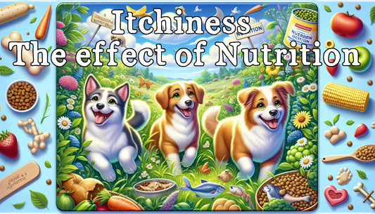 Itchiness : The effect of Nutrition
